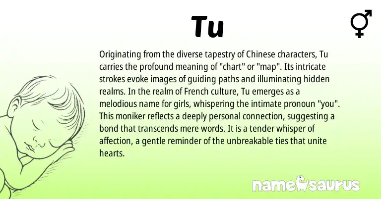 Infographic about Tu name meaning, Tu is a name from Chinese, French origin(s).