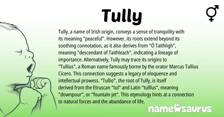 Infographic about Tully name meaning, Tully is a name from Irish, Etruscan, Roman, Latin origin(s).