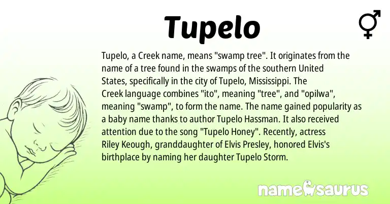 Infographic about Tupelo name meaning, Tupelo is a name from Creek, United States origin(s).