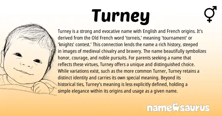 Infographic about Turney name meaning, Turney is a name from French, English origin(s).