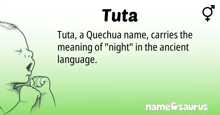 Infographic about Tuta name meaning, Tuta is a name from Quechua origin(s).