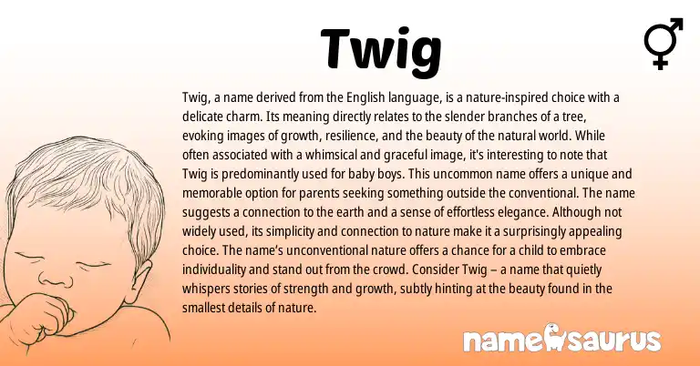 Infographic about Twig name meaning, Twig is a name from English origin(s).