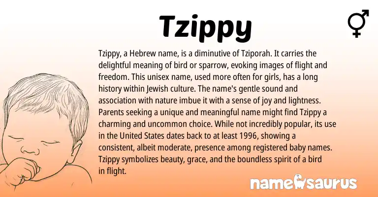 Infographic about Tzippy name meaning, Tzippy is a name from Jewish, Hebrew origin(s).