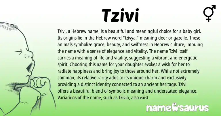Infographic about Tzivi name meaning, Tzivi is a name from Hebrew origin(s).