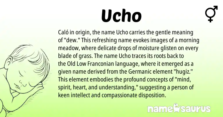 Infographic about Ucho name meaning, Ucho is a name from Germanic origin(s).