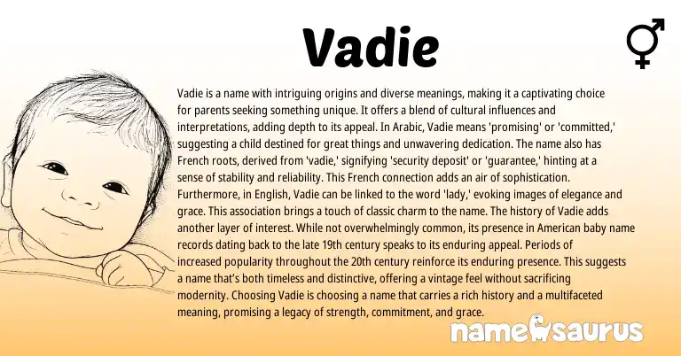 Infographic about Vadie name meaning, Vadie is a name from French, English, Arabic origin(s).