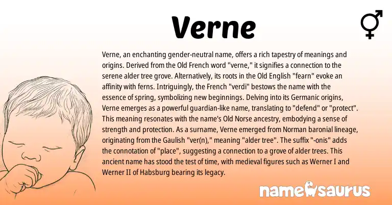 Infographic about Verne name meaning, Verne is a name from Old Norse, Old French, Gaulish, French, Germanic, Old English, Norman origin(s).