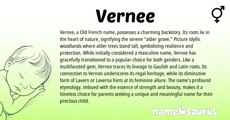 Infographic about Vernee name meaning, Vernee is a name from Latin, Old French, Gaulish origin(s).