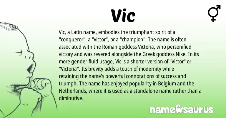 Infographic about Vic name meaning, Vic is a name from Roman, Netherlands, Latin, Greek origin(s).
