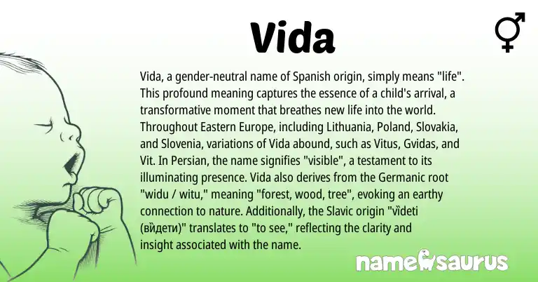 Infographic about Vida name meaning, Vida is a name from Spanish, Germanic, Persian, Slavic origin(s).