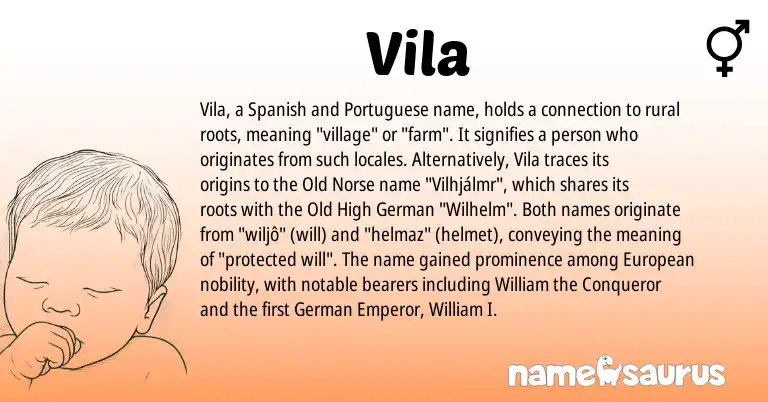 Infographic about Vila name meaning, Vila is a name from Old Norse, Old High German, Spanish, European, German, Portuguese origin(s).