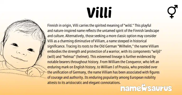 Infographic about Villi name meaning, Villi is a name from Old German, English, Finnish, European origin(s).