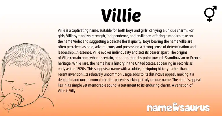 Infographic about Villie name meaning, Villie is a name from Other origin(s).