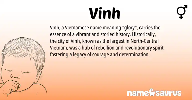 Infographic about Vinh name meaning, Vinh is a name from Vietnamese origin(s).