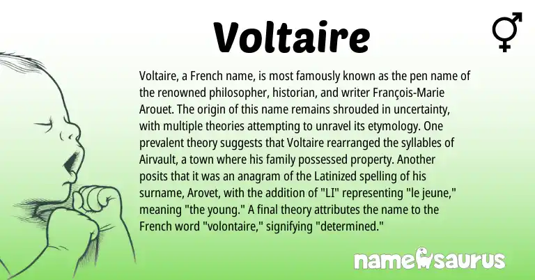 Infographic about Voltaire name meaning, Voltaire is a name from French origin(s).