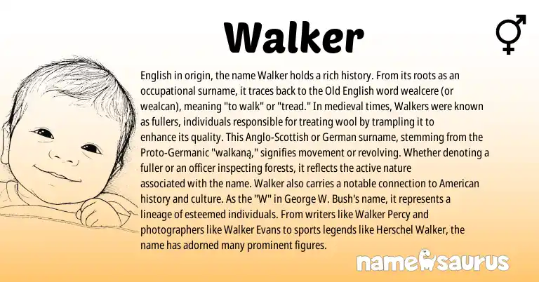 Infographic about Walker name meaning, Walker is a name from German, English, Germanic, Old English, Scottish, American origin(s).