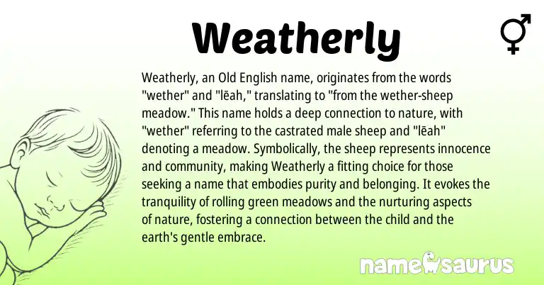 Infographic about Weatherly name meaning, Weatherly is a name from Old English origin(s).