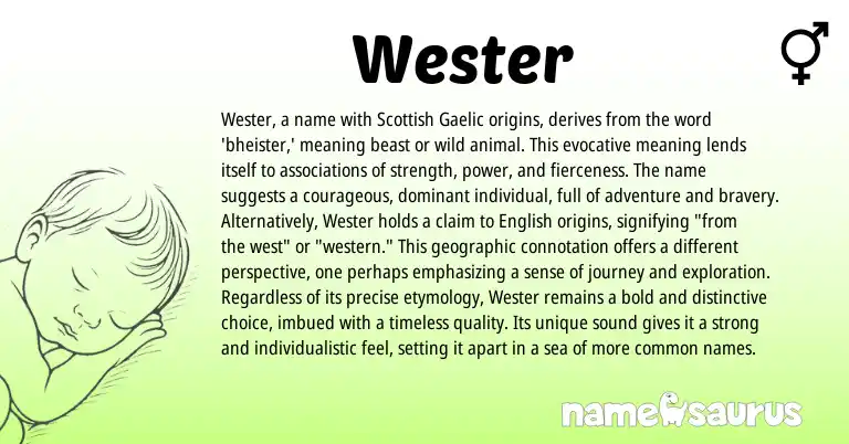 Infographic about Wester name meaning, Wester is a name from Scottish, Gaelic origin(s).
