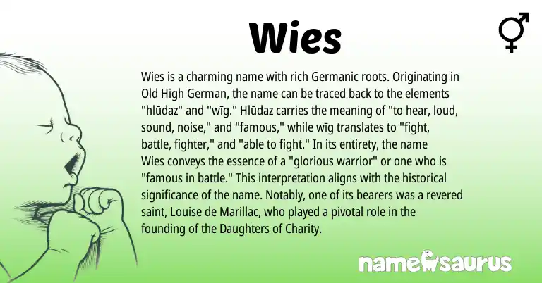 Infographic about Wies name meaning, Wies is a name from Old High German, Germanic origin(s).
