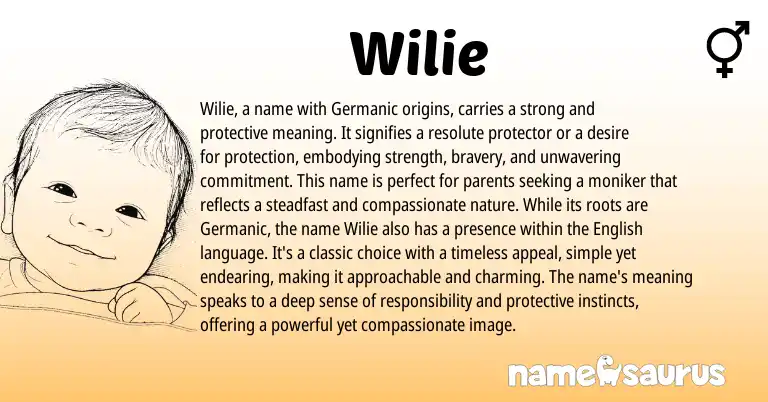 Infographic about Wilie name meaning, Wilie is a name from Germanic origin(s).
