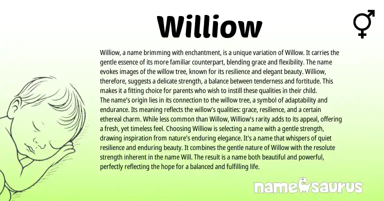 Infographic about Williow name meaning, Williow is a name from Other origin(s).