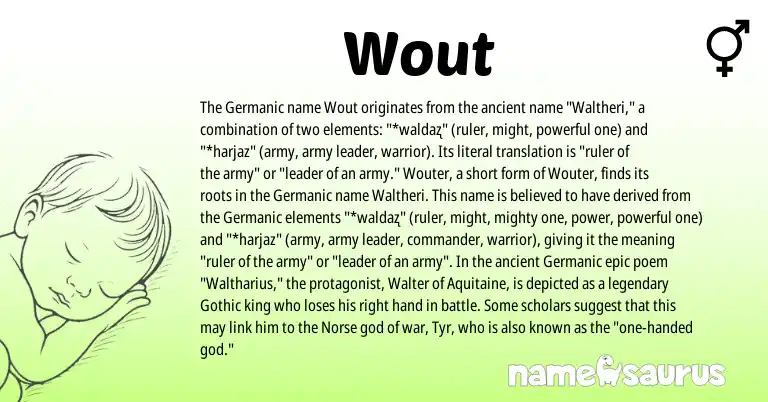 Infographic about Wout name meaning, Wout is a name from Germanic, Gothic, Norse origin(s).
