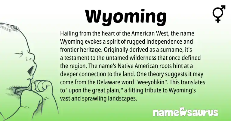 Infographic about Wyoming name meaning, Wyoming is a name from Native American, Delaware, American origin(s).
