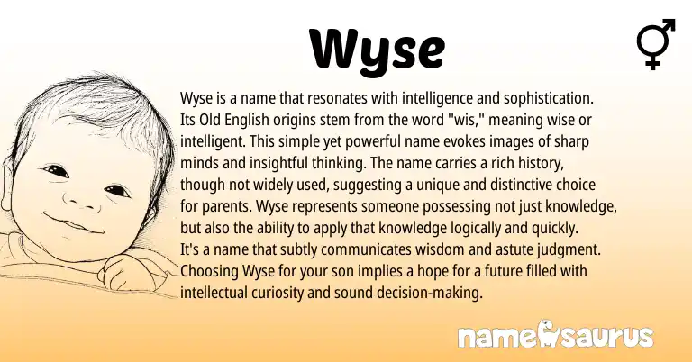 Infographic about Wyse name meaning, Wyse is a name from English origin(s).