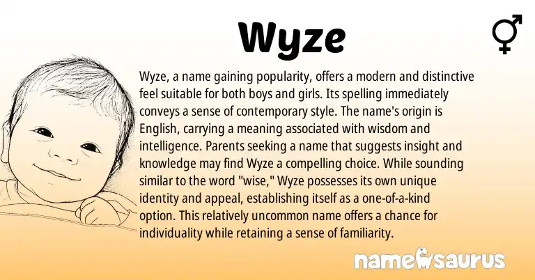 Infographic about Wyze name meaning, Wyze is a name from Other origin(s).