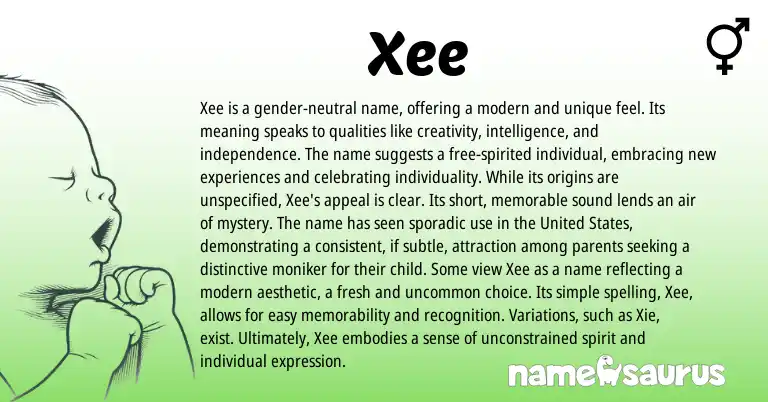 Infographic about Xee name meaning, Xee is a name from Other origin(s).