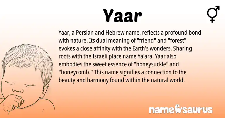 Infographic about Yaar name meaning, Yaar is a name from Persian, Hebrew, Israeli origin(s).