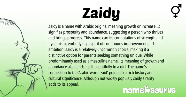 Infographic about Zaidy name meaning, Zaidy is a name from Hebrew, Arabic origin(s).