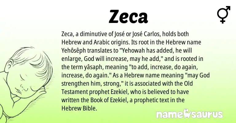 Infographic about Zeca name meaning, Zeca is a name from Arabic, Hebrew origin(s).