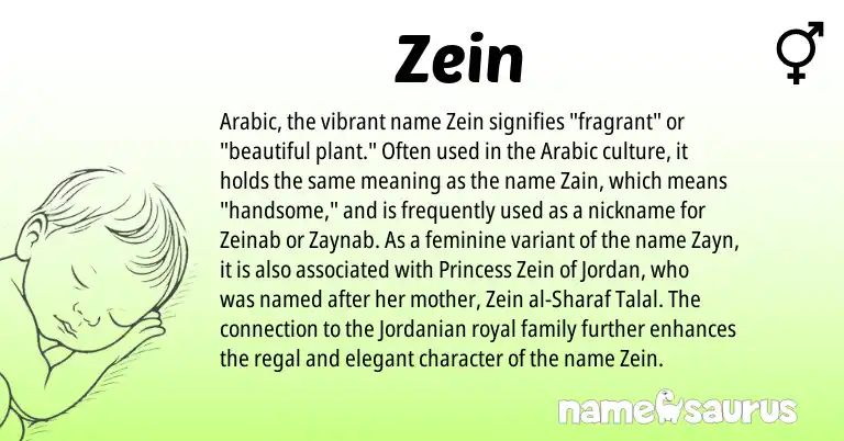 Infographic about Zein name meaning, Zein is a name from Arabic origin(s).