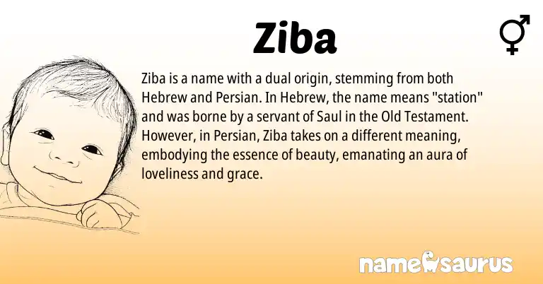 Infographic about Ziba name meaning, Ziba is a name from Persian, Hebrew origin(s).