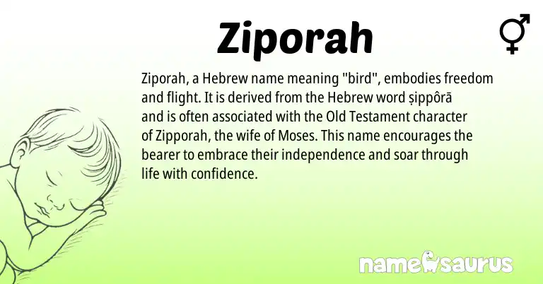 Infographic about Ziporah name meaning, Ziporah is a name from Hebrew origin(s).
