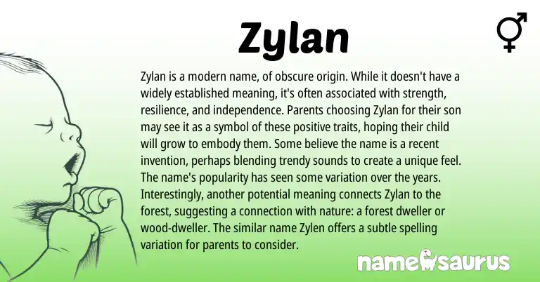 Infographic about Zylan name meaning, Zylan is a name from Other origin(s).