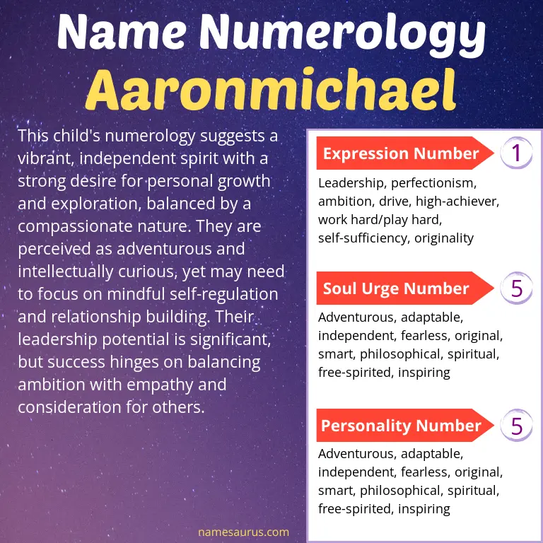 numerology of the name aaronmichael.