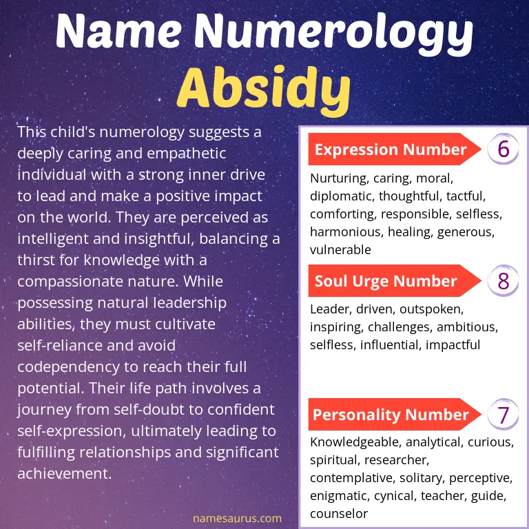 numerology of the name absidy.