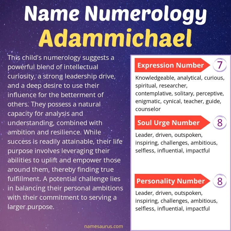 numerology of the name adammichael.