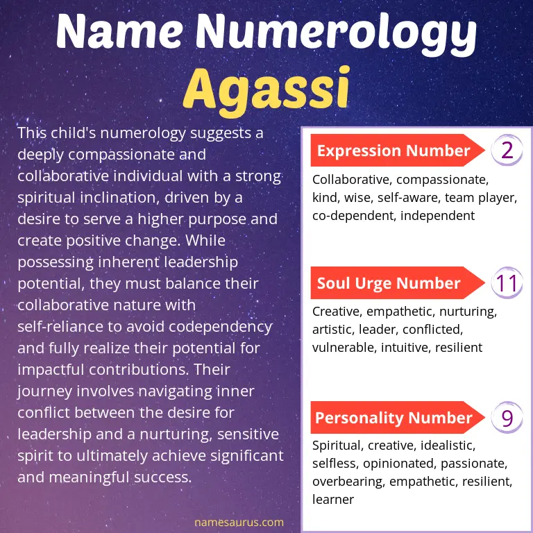 numerology of the name agassi.