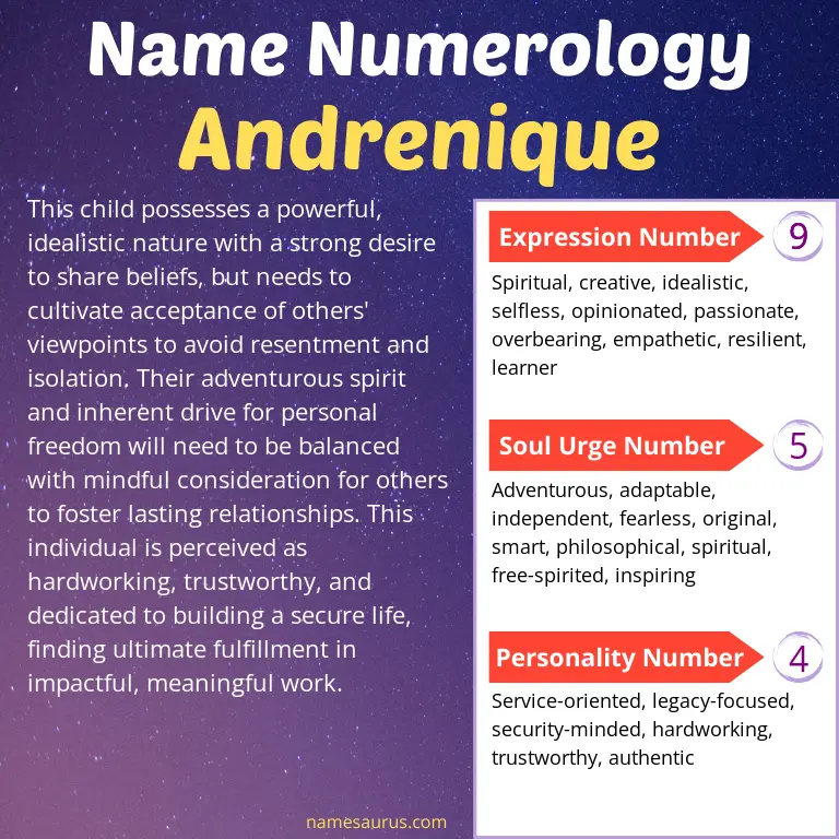 numerology of the name andrenique.