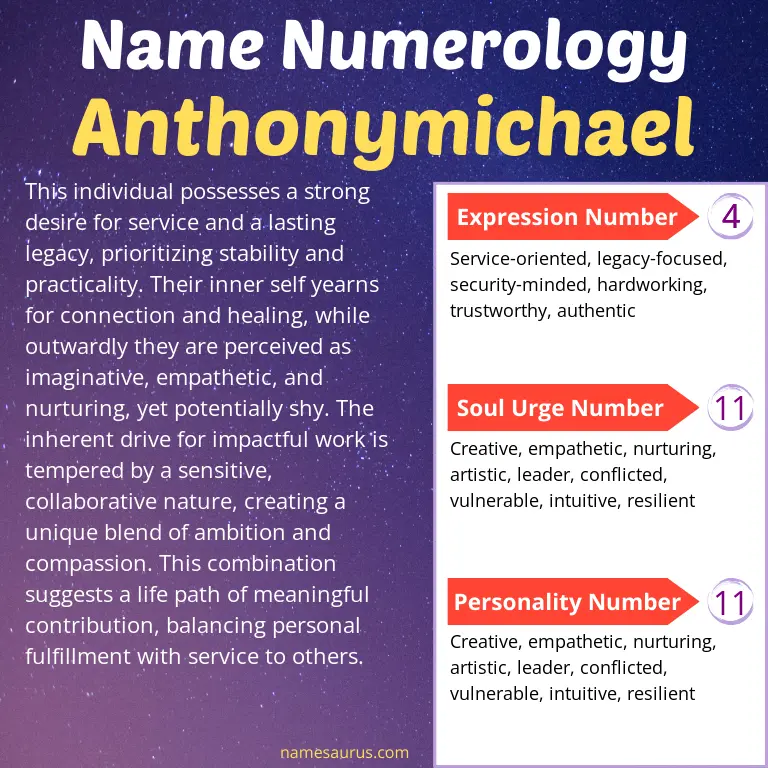 numerology of the name anthonymichael.