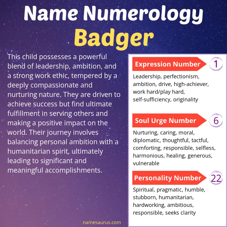 numerology of the name badger.