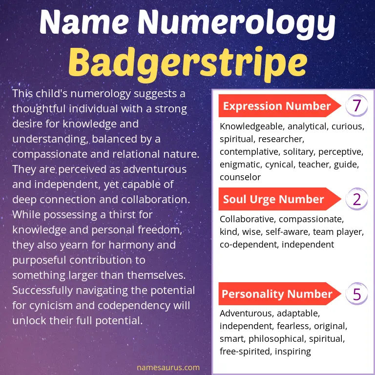 numerology of the name badgerstripe.