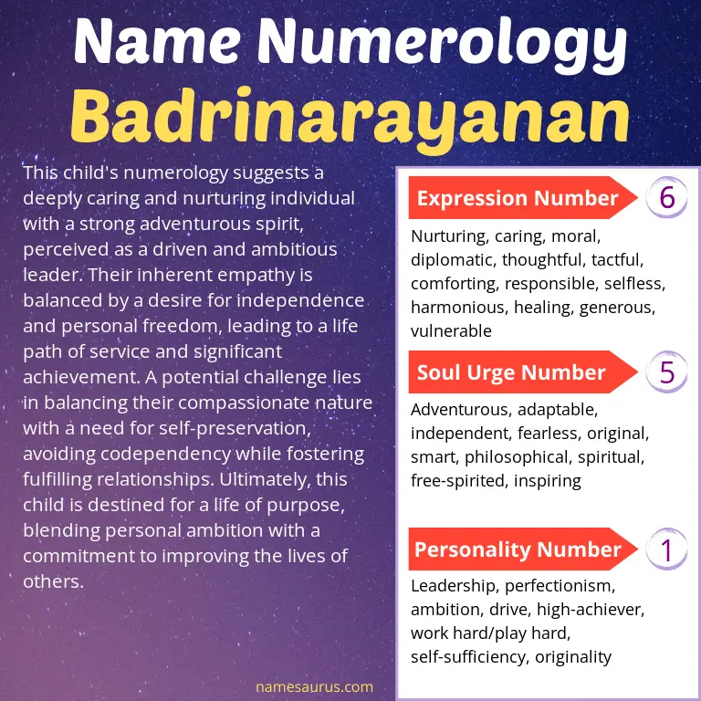numerology of the name badrinarayanan.