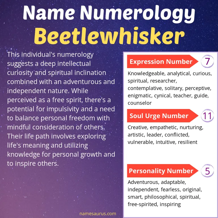 numerology of the name beetlewhisker.
