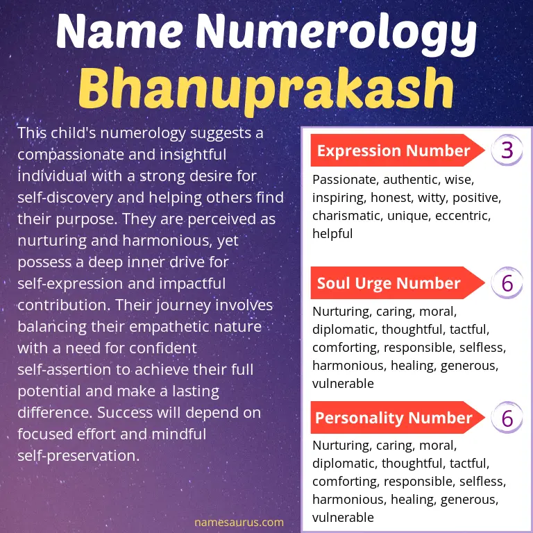 numerology of the name bhanuprakash.