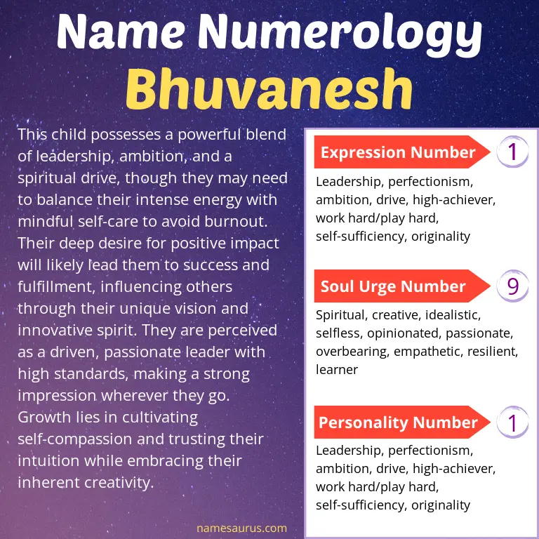 numerology of the name bhuvanesh.