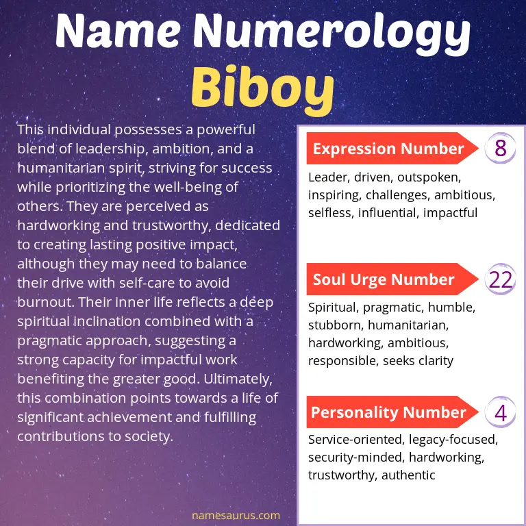 numerology of the name biboy.